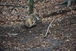 DSC_2748.JPG